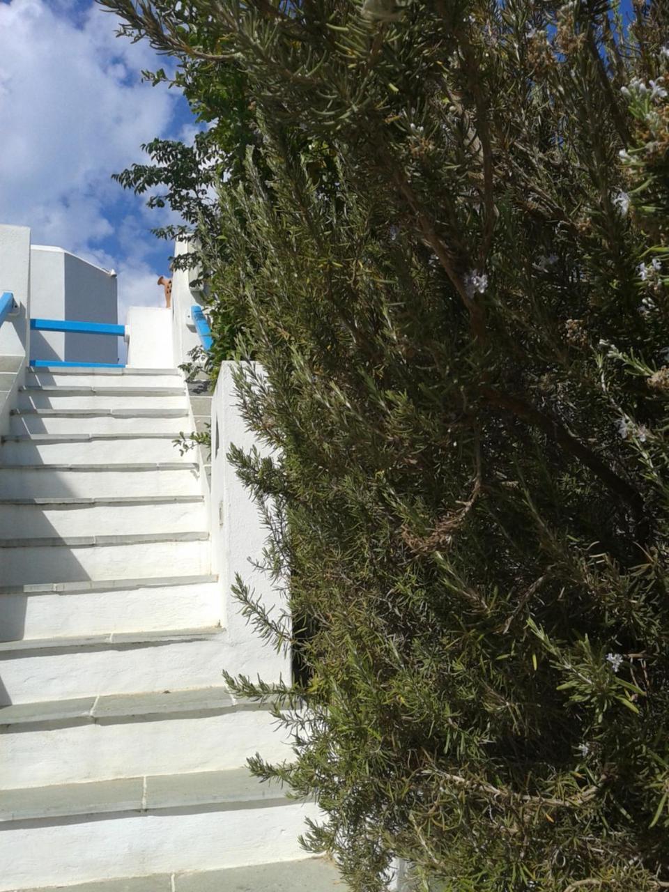 Smaragda Rooms & Studios Platis Gialos  Luaran gambar